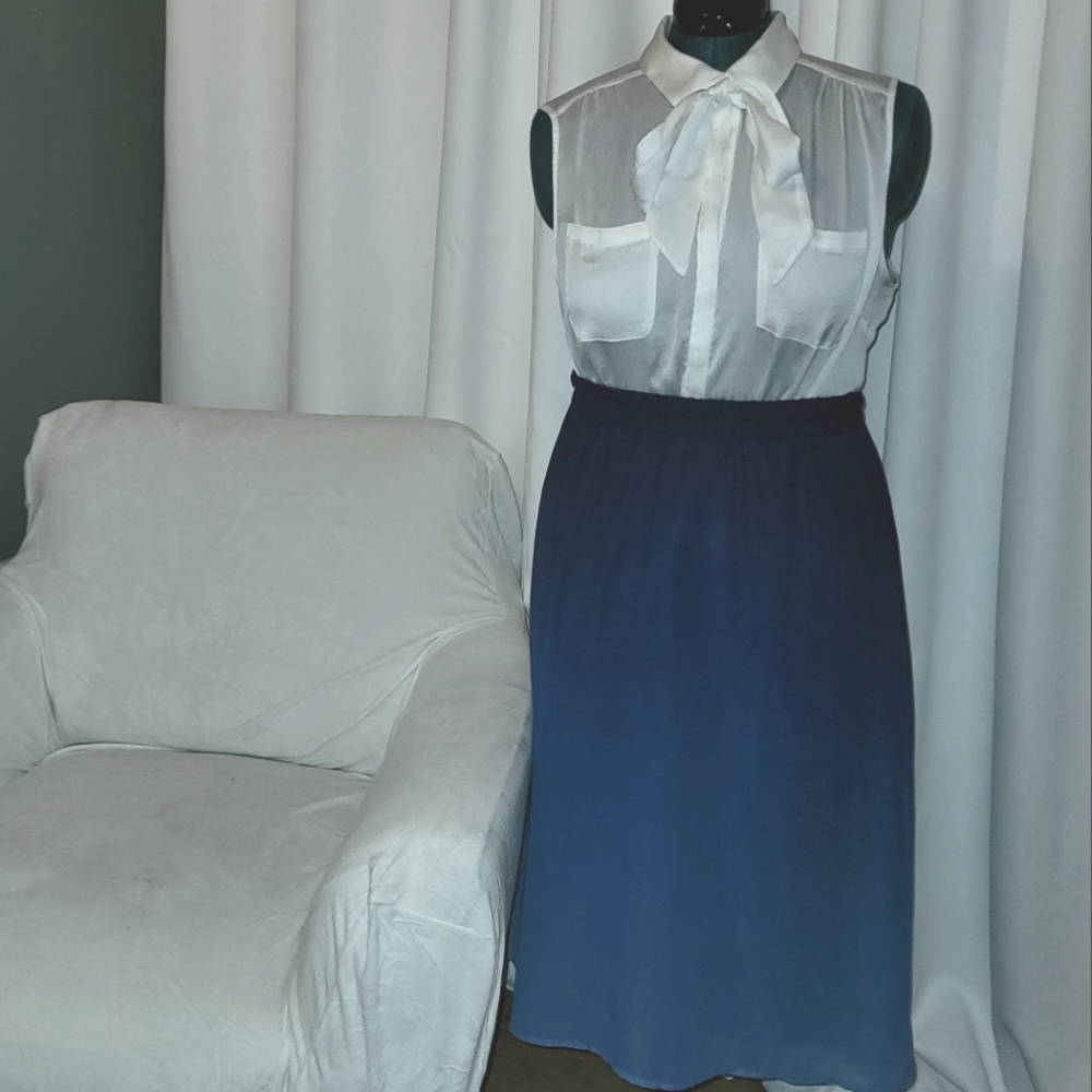 Blue Ombre Size Skirt
